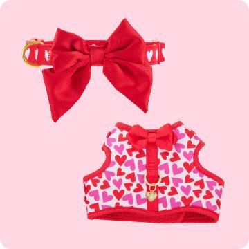 Red bow dog collar & a harness with a red bow tie